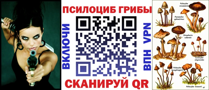 Галлюциногенные грибы Psilocybe  MEGA как войти  Омутнинск 
