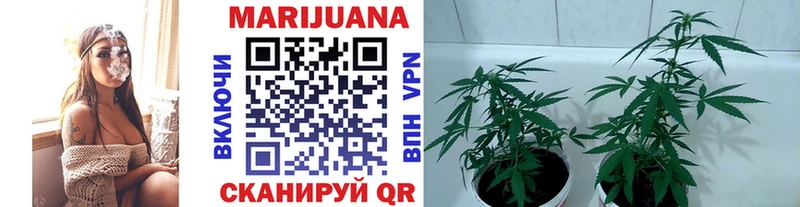 МАРИХУАНА сатива  MEGA рабочий сайт  Омутнинск 
